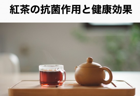 紅茶の抗菌作用と健康効果