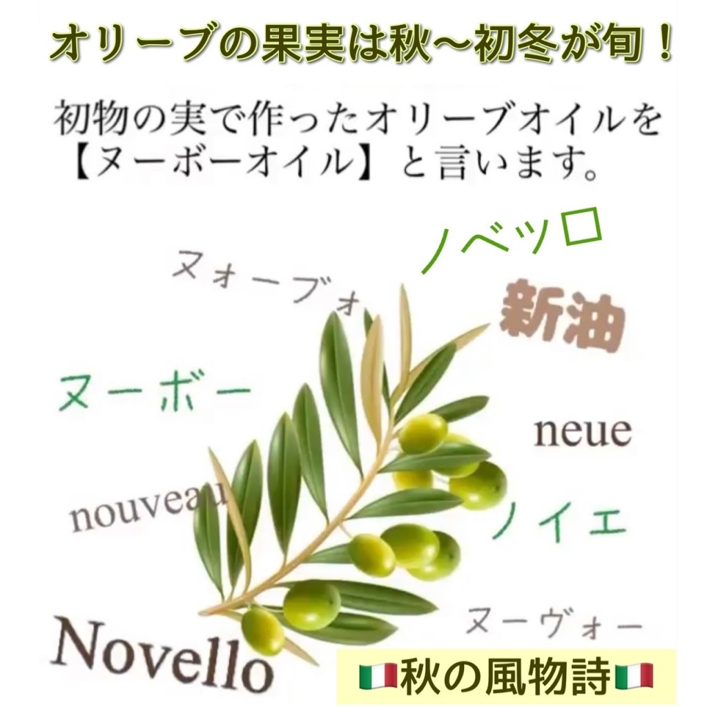 ノヴェッロオイルとは、ヌーボー、ノイエ、ヌーヴォー、新油、ノベッロなどの呼び名があります。
